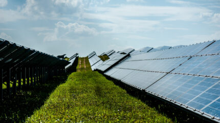 Acea spinge sul fotovoltaico: due nuovi impianti in funzione nel Lazio